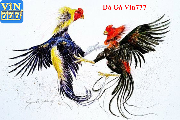 Đá Gà Vin777 - Đấu Trường Đá Gà Thomo Trực Tuyến