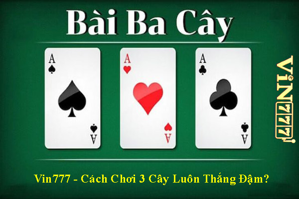 Vin777 - Cách Chơi 3 Cây Luôn Thắng Đậm?